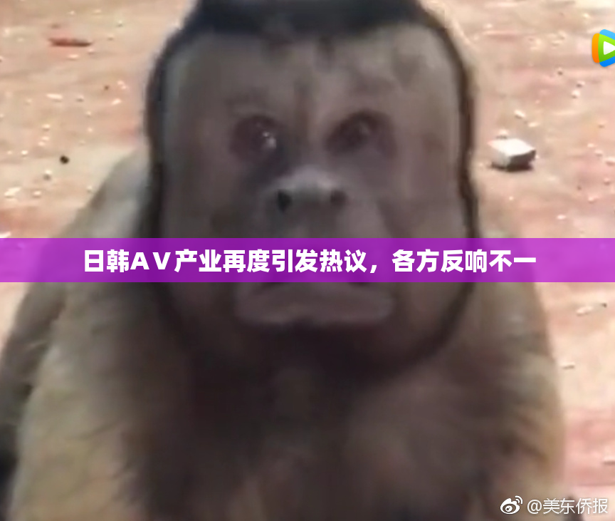 日韩AⅤ产业再度引发热议，各方反响不一