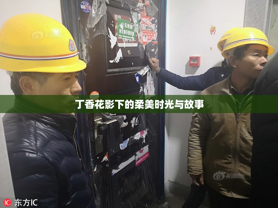 丁香花影下的柔美时光与故事