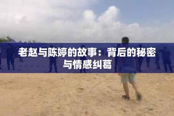 老赵与陈婷的故事：背后的秘密与情感纠葛