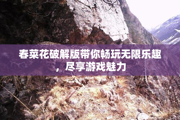 春菜花破解版带你畅玩无限乐趣，尽享游戏魅力