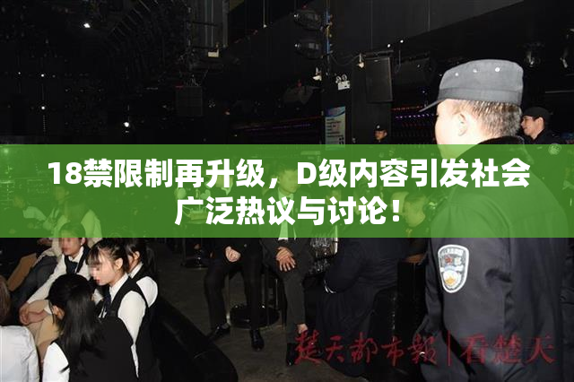 18禁限制再升级，D级内容引发社会广泛热议与讨论！