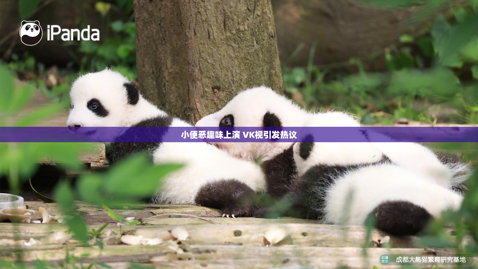 小便恶趣味上演 VK视引发热议