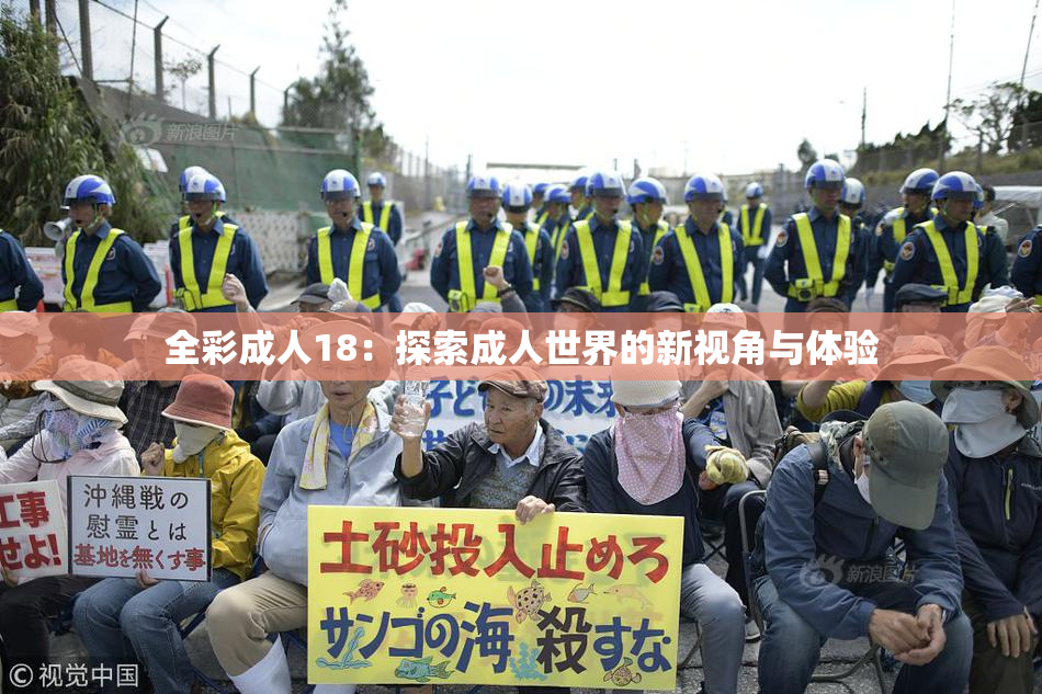 全彩成人18：探索成人世界的新视角与体验