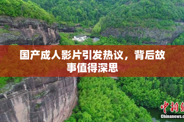 国产成人影片引发热议，背后故事值得深思