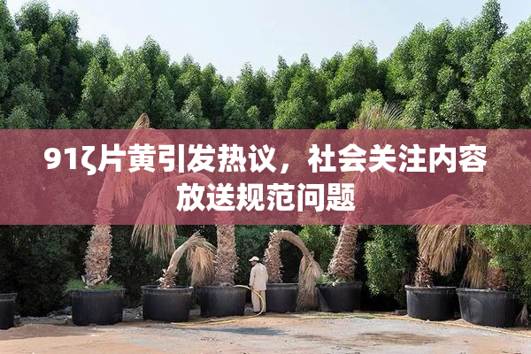 91ζ片黄引发热议，社会关注内容放送规范问题
