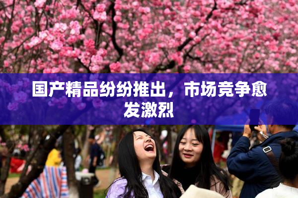 国产精品纷纷推出，市场竞争愈发激烈