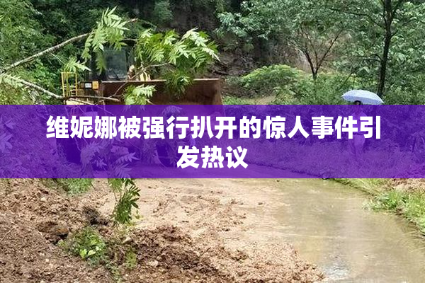 维妮娜被强行扒开的惊人事件引发热议