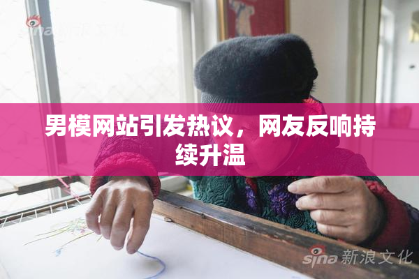 男模网站引发热议，网友反响持续升温