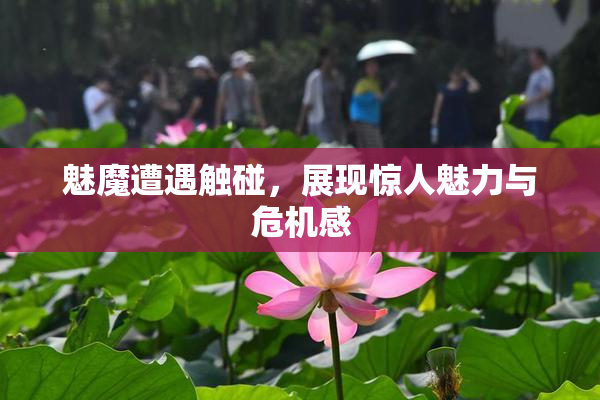魅魔遭遇触碰，展现惊人魅力与危机感