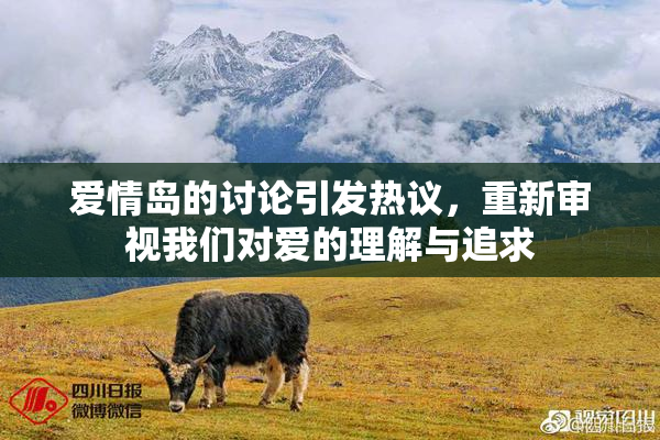 爱情岛的讨论引发热议，重新审视我们对爱的理解与追求