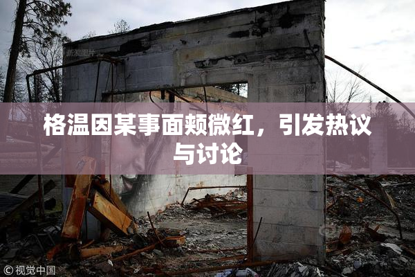 格温因某事面颊微红，引发热议与讨论