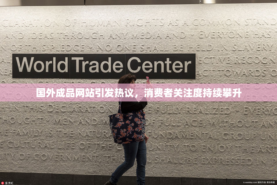 国外成品网站引发热议，消费者关注度持续攀升