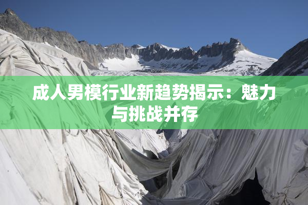 成人男模行业新趋势揭示：魅力与挑战并存