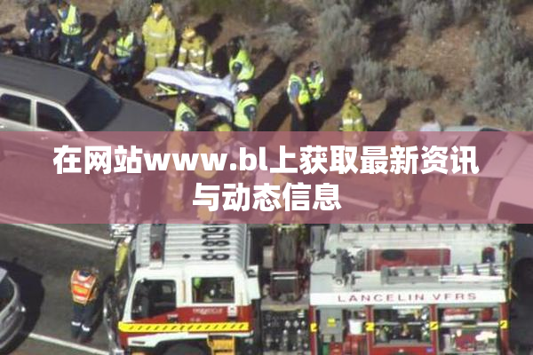 在网站www.bl上获取最新资讯与动态信息