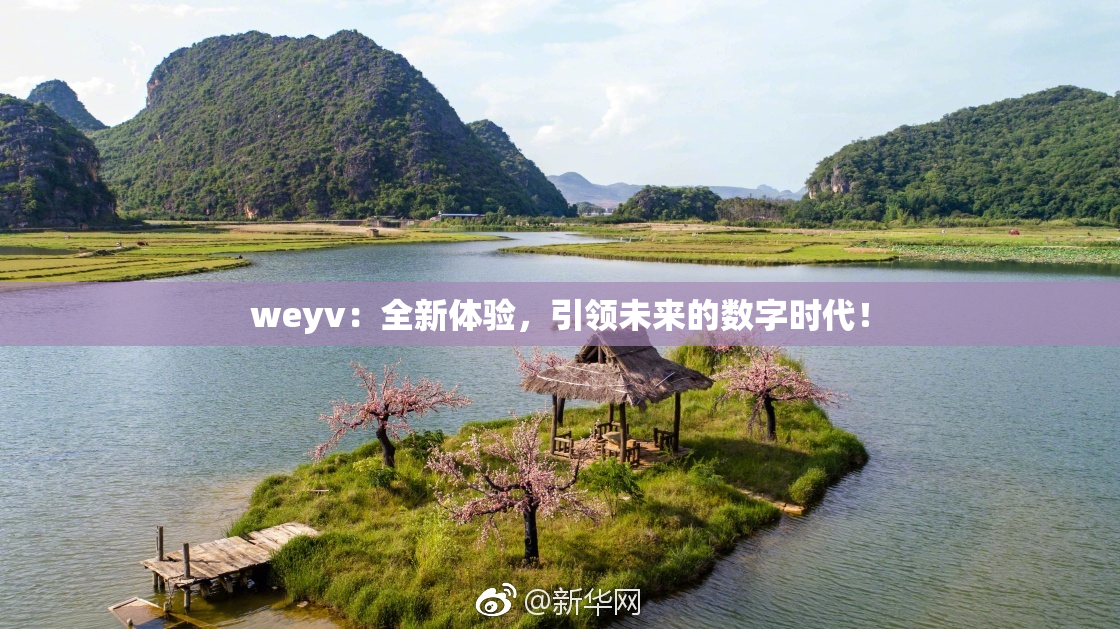 weyv：全新体验，引领未来的数字时代！