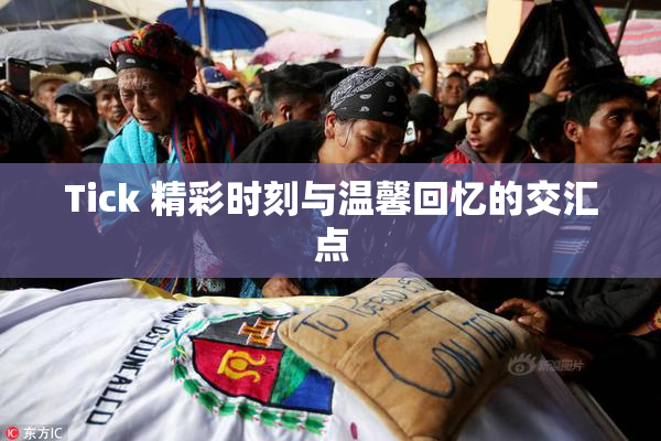 Tick 精彩时刻与温馨回忆的交汇点