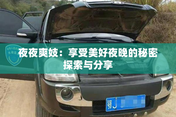 夜夜爽妓：享受美好夜晚的秘密探索与分享