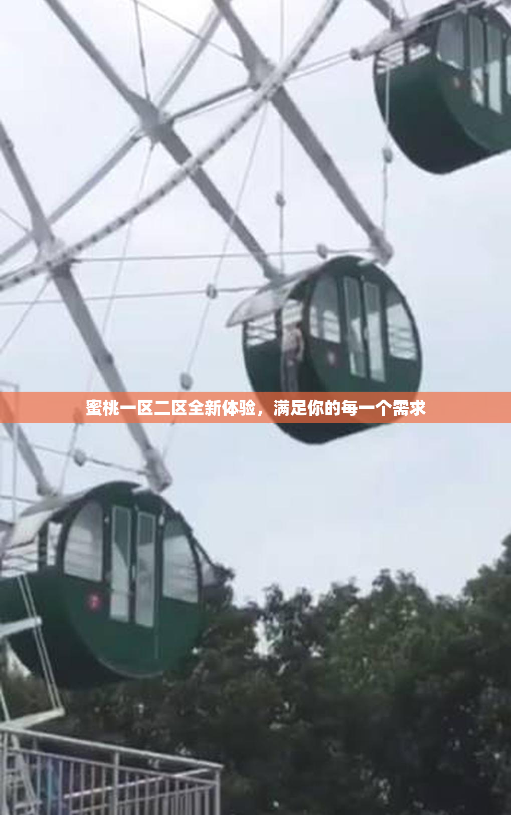 蜜桃一区二区全新体验，满足你的每一个需求
