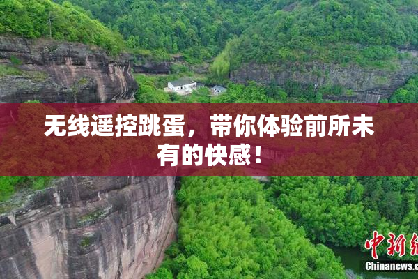 无线遥控跳蛋，带你体验前所未有的快感！