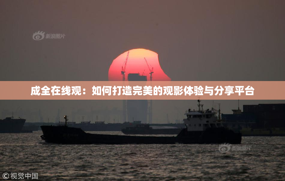 成全在线观：如何打造完美的观影体验与分享平台