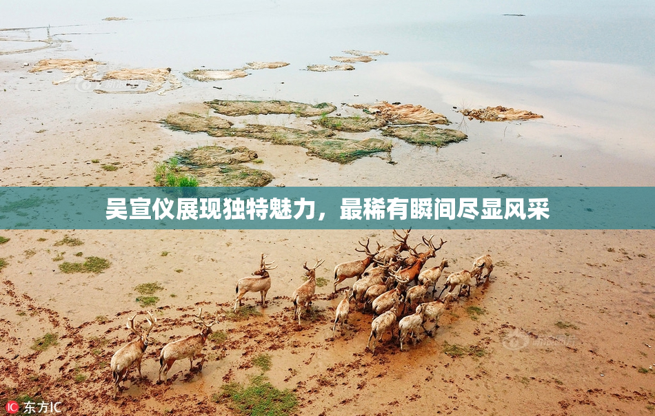 吴宣仪展现独特魅力，最稀有瞬间尽显风采