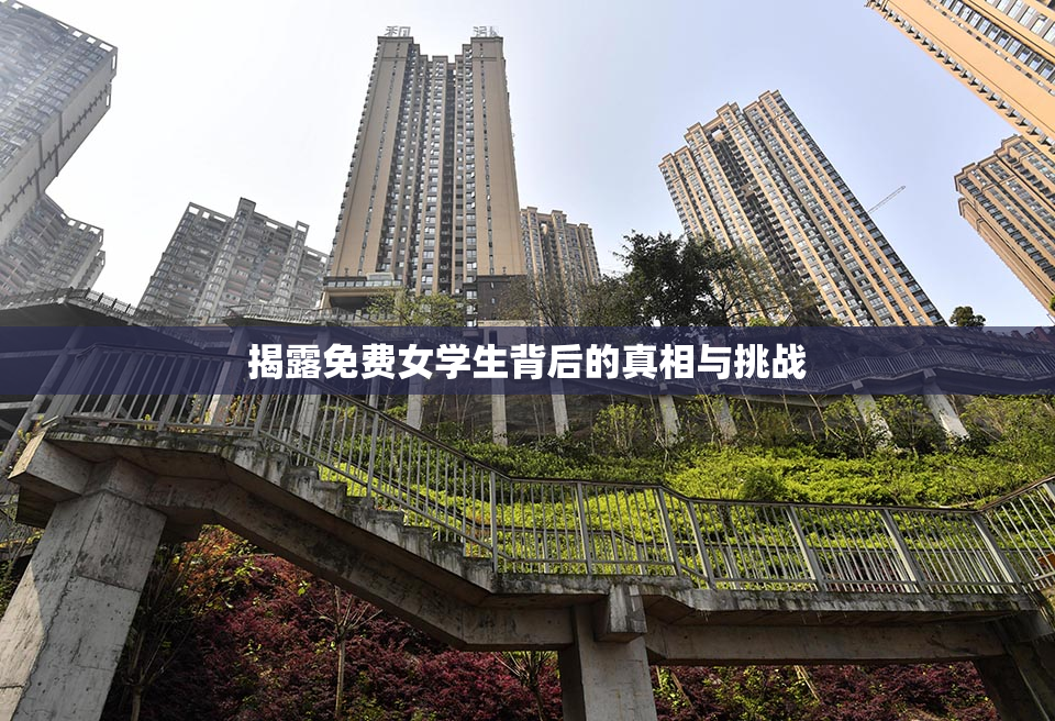 揭露免费女学生背后的真相与挑战