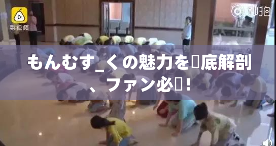 もんむす_くの魅力を徹底解剖、ファン必見！