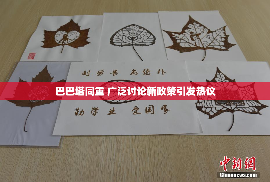 巴巴塔同重 广泛讨论新政策引发热议