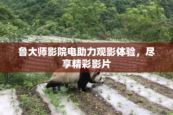 鲁大师影院电助力观影体验，尽享精彩影片