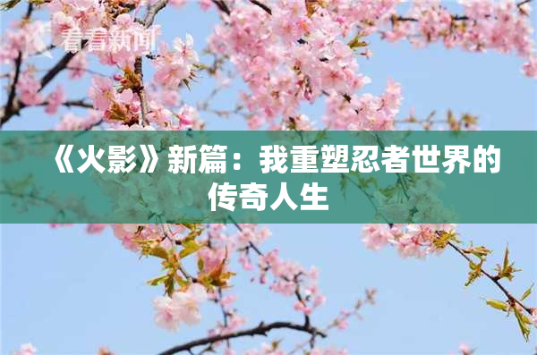 《火影》新篇：我重塑忍者世界的传奇人生