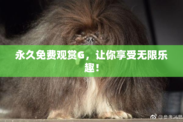 永久免费观赏G，让你享受无限乐趣！
