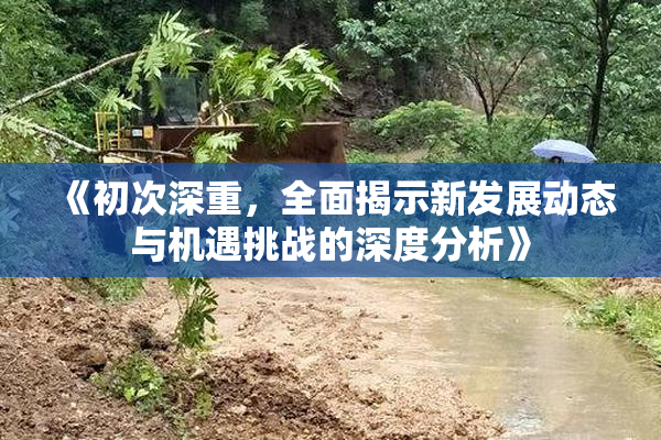 《初次深重，全面揭示新发展动态与机遇挑战的深度分析》