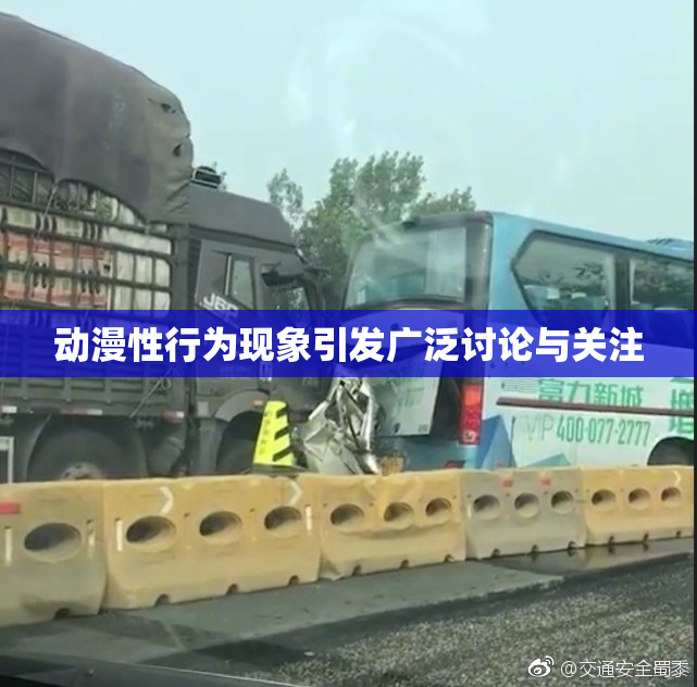 动漫性行为现象引发广泛讨论与关注