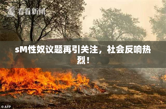 sM性奴议题再引关注，社会反响热烈！