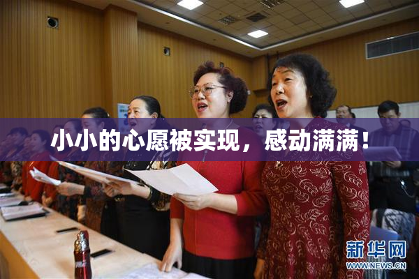 小小的心愿被实现，感动满满！
