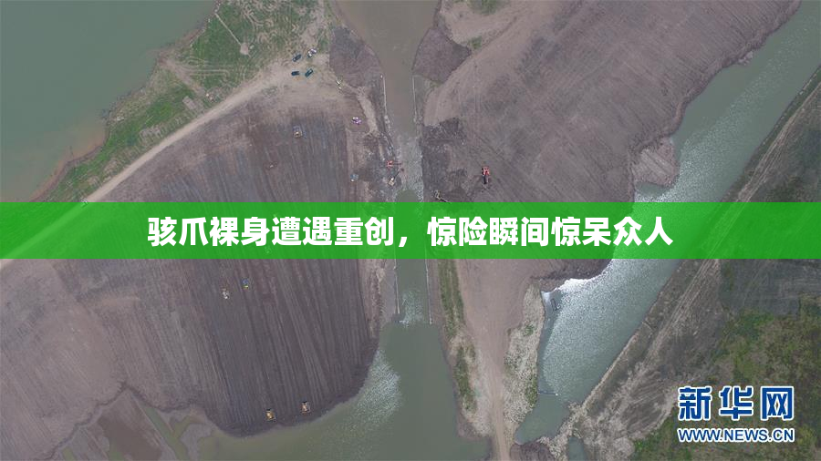 骇爪裸身遭遇重创，惊险瞬间惊呆众人