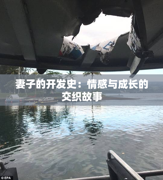 妻子的开发史：情感与成长的交织故事