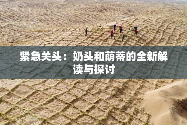 紧急关头：奶头和荫蒂的全新解读与探讨