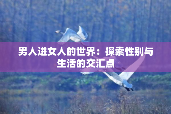 男人进女人的世界：探索性别与生活的交汇点