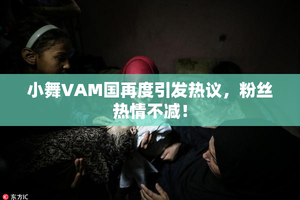 小舞VAM国再度引发热议，粉丝热情不减！
