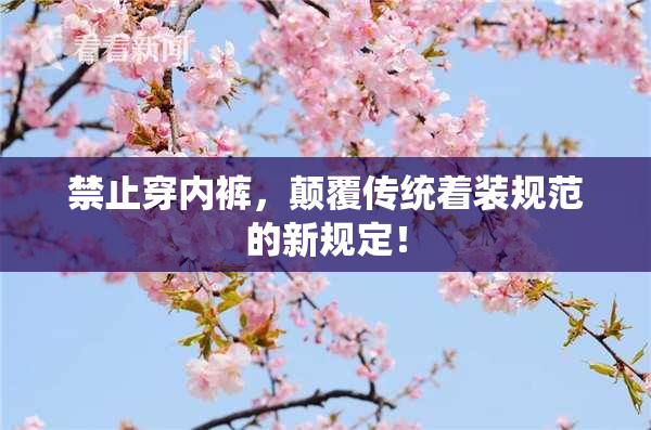 禁止穿内裤，颠覆传统着装规范的新规定！