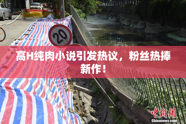 高H纯肉小说引发热议，粉丝热捧新作！
