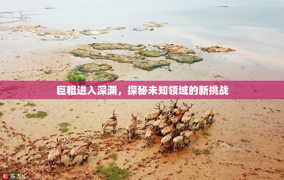 巨粗进入深渊，探秘未知领域的新挑战