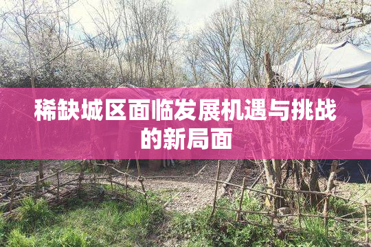 稀缺城区面临发展机遇与挑战的新局面