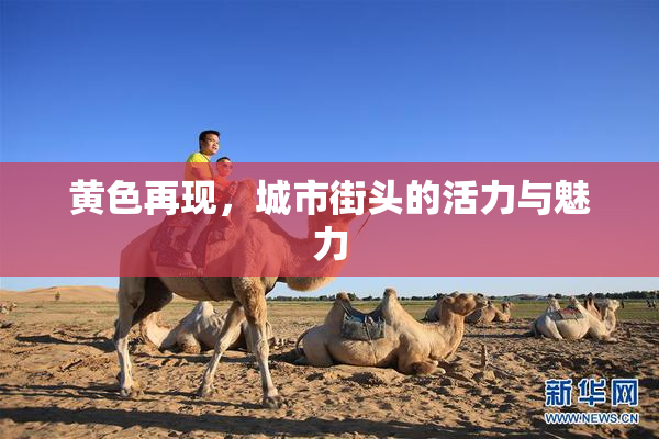 黄色再现，城市街头的活力与魅力