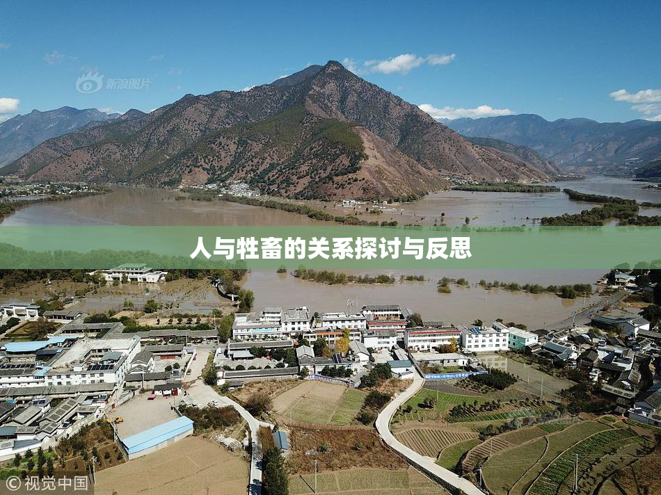 人与牲畜的关系探讨与反思