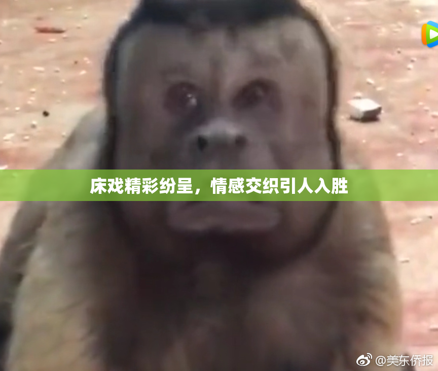 床戏精彩纷呈，情感交织引人入胜