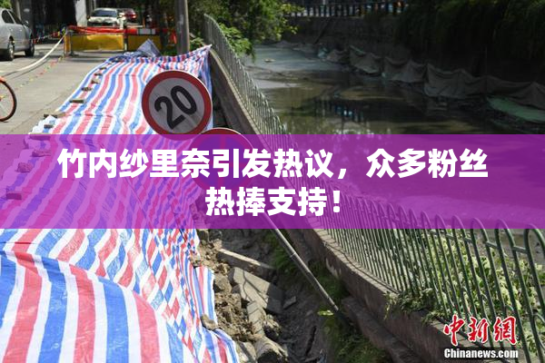 竹内纱里奈引发热议，众多粉丝热捧支持！