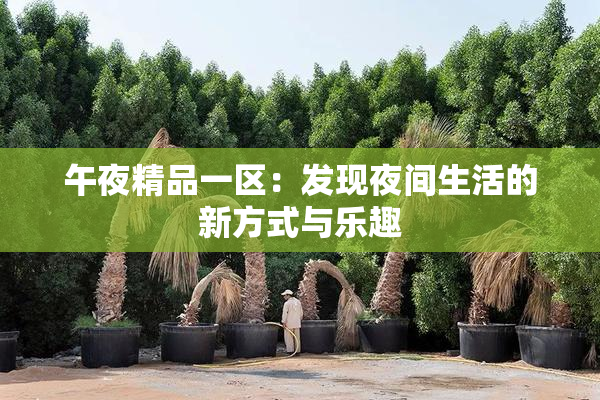 午夜精品一区：发现夜间生活的新方式与乐趣