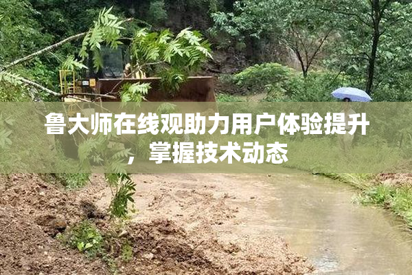 鲁大师在线观助力用户体验提升，掌握技术动态
